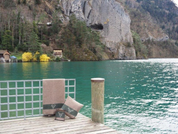 Preview: Armeedecke Hirsch